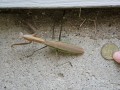 album/09182013/DSCN6269.JPG