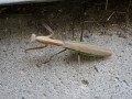album/09182013/DSCN6270.JPG