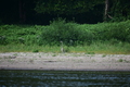 album/09212025/DSC_0612.JPG