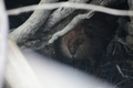album/09212025/DSC_0625.JPG