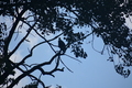 album/09212025/DSC_0640.JPG