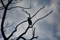 album/09212025/DSC_0643.JPG