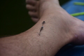 album/09212025/DSC_0645.JPG