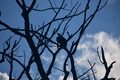 album/09212025/DSC_0647.JPG