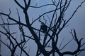album/09212025/DSC_0664.JPG