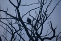 album/09212025/DSC_0676.JPG