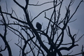album/09212025/DSC_0688.JPG