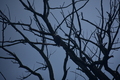 album/09212025/DSC_0705.JPG