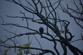 album/09212025/DSC_0717.JPG