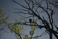 album/09212025/DSC_0730.JPG