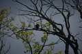album/09212025/DSC_0750.JPG