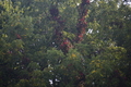 album/09212025/DSC_0756.JPG