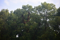 album/09212025/DSC_0757.JPG