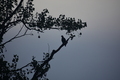 album/09212025/DSC_0761.JPG