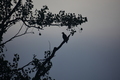 album/09212025/DSC_0768.JPG