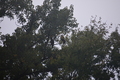 album/09212025/DSC_0771.JPG