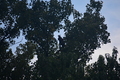 album/09212025/DSC_0778.JPG