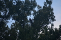 album/09212025/DSC_0779.JPG
