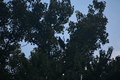 album/09212025/DSC_0792.JPG