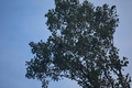 album/09212025/DSC_0805.JPG