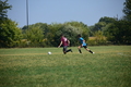 album/092820252/DSC_0353.JPG