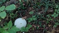 album/09992025/IMG20250930192647.jpg