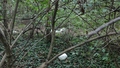 album/09992025/IMG20250930192653.jpg