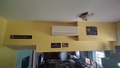 album/09992026/IMG20260925150827.jpg