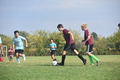 album/10042025/DSC_0103.JPG