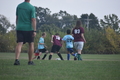 album/10042025/DSC_0113.JPG