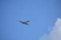 album/10042025/DSC_0118.JPG