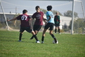 album/10042025/DSC_0130.JPG