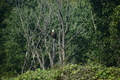 album/100420252/DSC_0001.JPG