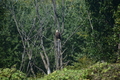 album/100420252/DSC_0012.JPG