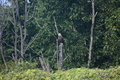 album/100420252/DSC_0037.JPG