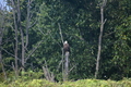 album/100420252/DSC_0044.JPG