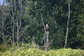 album/100420252/DSC_0048.JPG