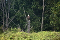 album/100420252/DSC_0060.JPG