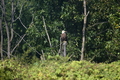 album/100420252/DSC_0079.JPG