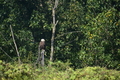 album/100420252/DSC_0084.JPG