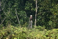 album/100420252/DSC_0087.JPG