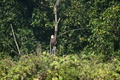 album/100420252/DSC_0096.JPG