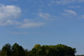 album/100420252/DSC_0641.JPG