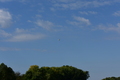 album/100420252/DSC_0642.JPG