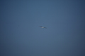 album/100420252/DSC_0643.JPG