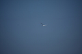 album/100420252/DSC_0644.JPG