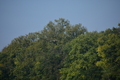 album/100420252/DSC_0646.JPG