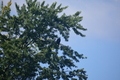 album/100420252/DSC_0649.JPG