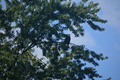 album/100420252/DSC_0665.JPG