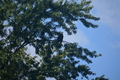 album/100420252/DSC_0668.JPG